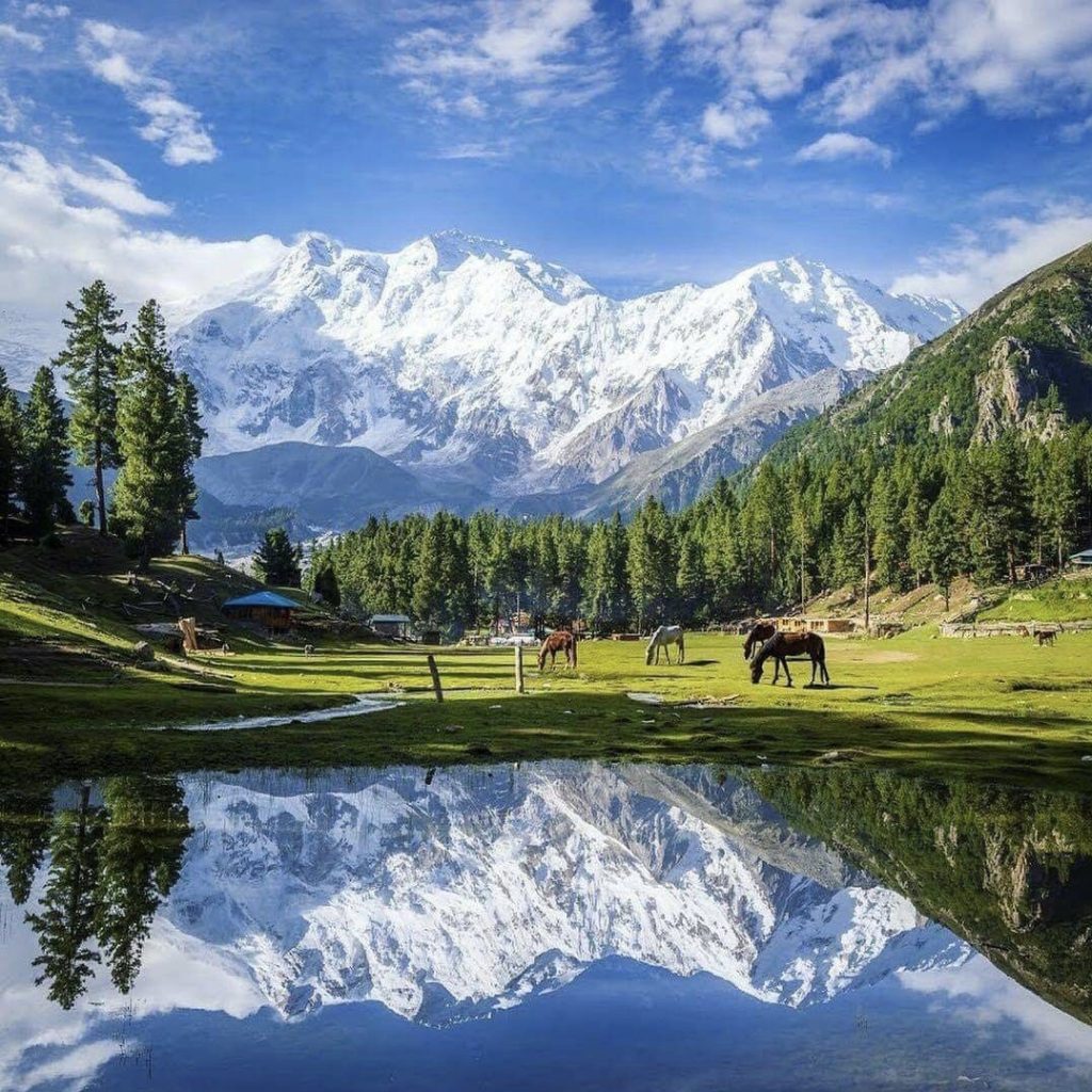 Nanga parbat Base camp