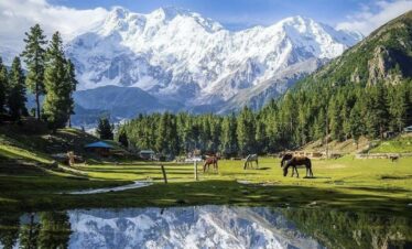 Nanga parbat Base camp