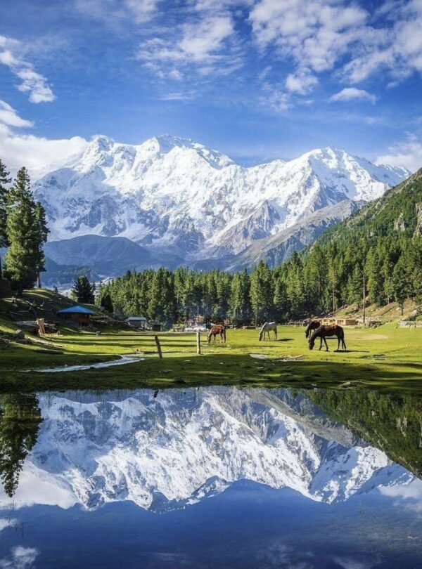 Nanga parbat Base camp