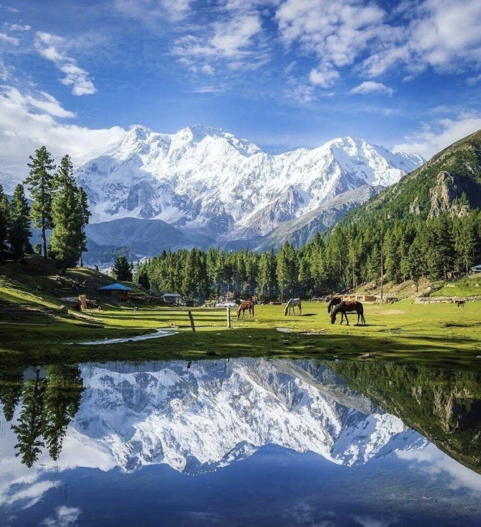 Nanga parbat Base camp