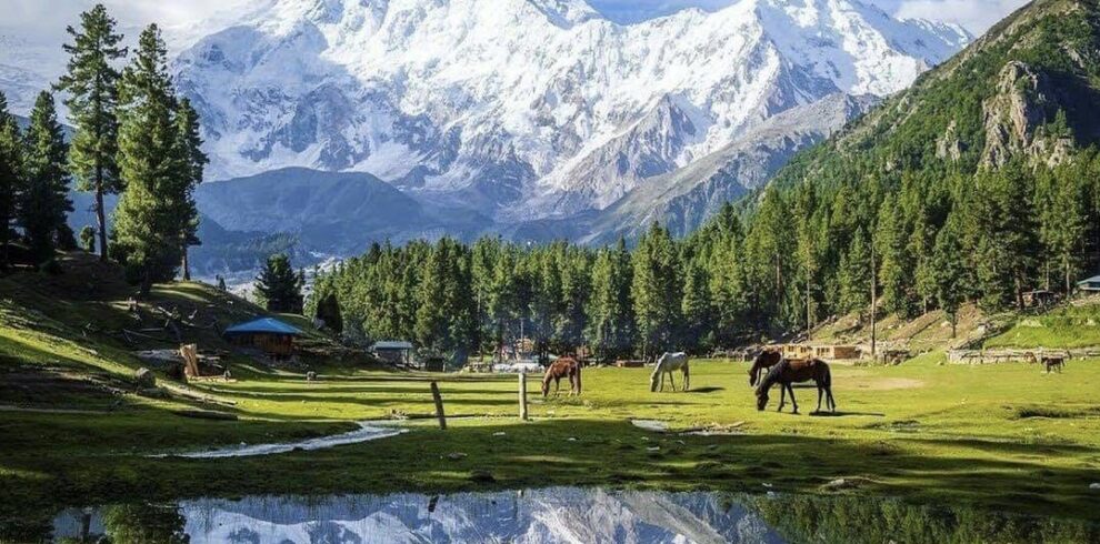 Nanga parbat Base camp